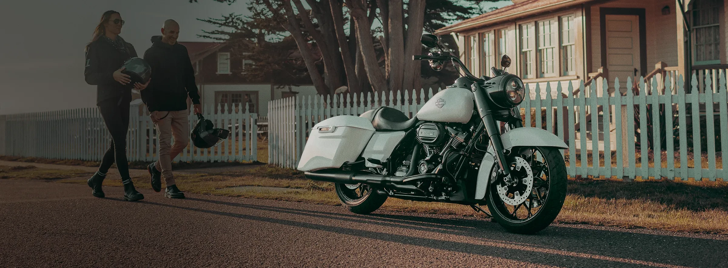 Road King® Special