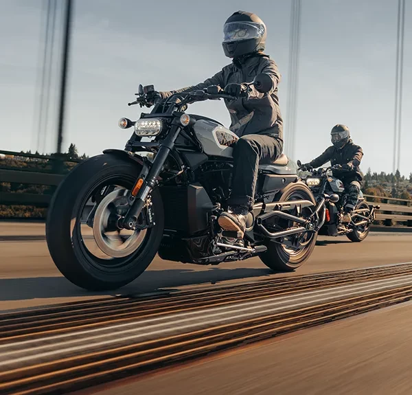 Sportster® S