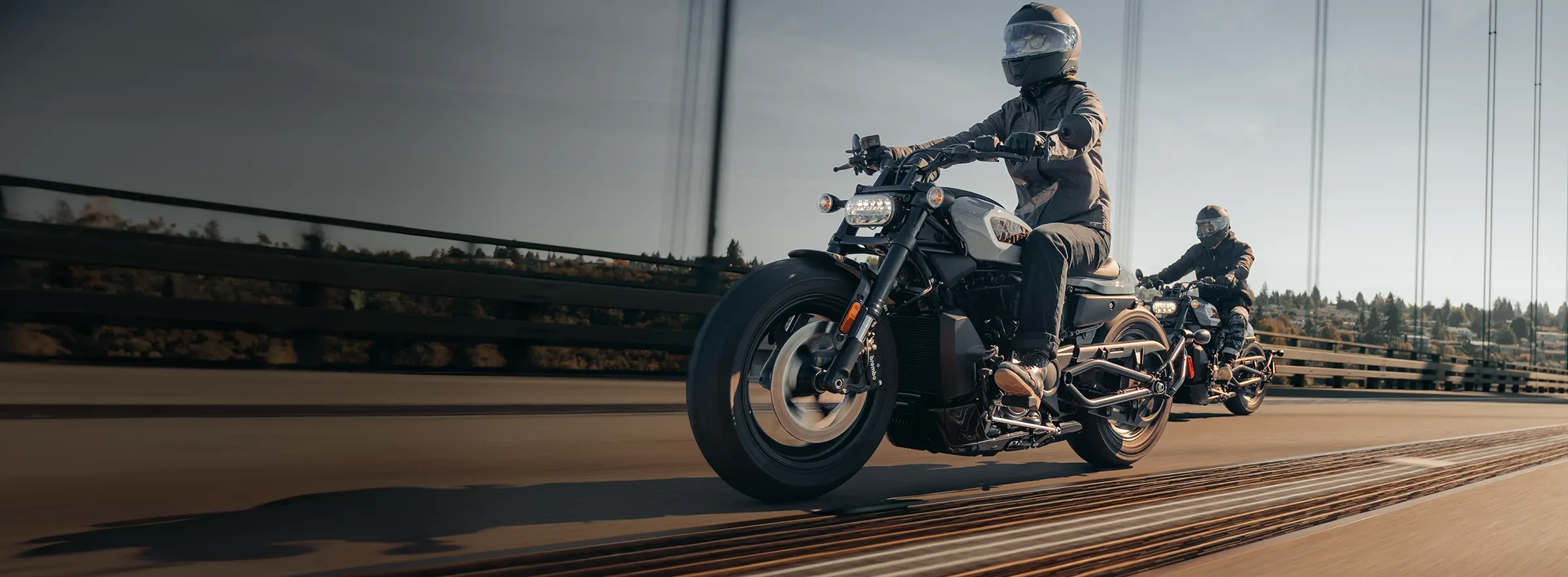 Sportster® S