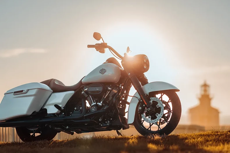 Stretched Saddlebags