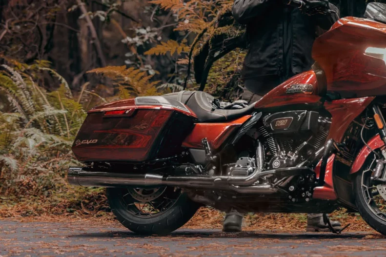 Saddlebags