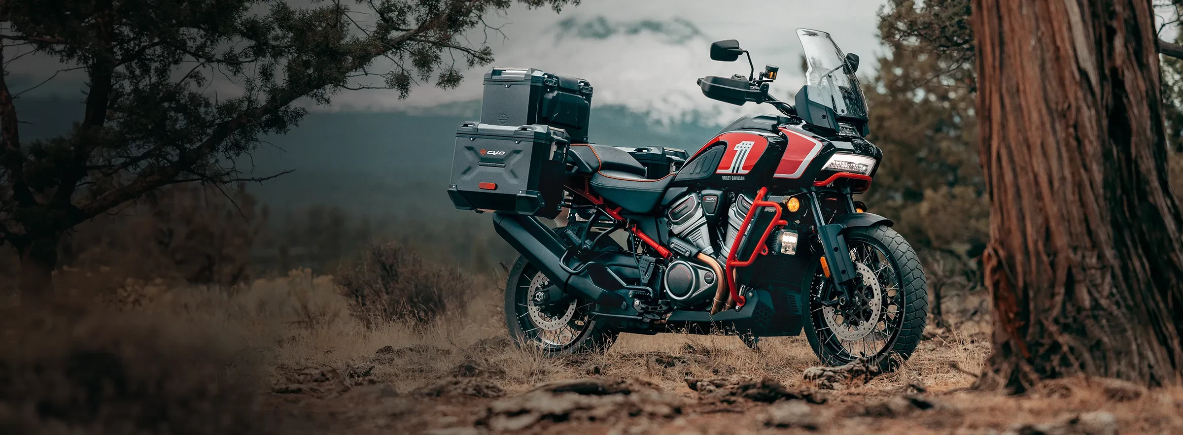 CVO™ Pan America®