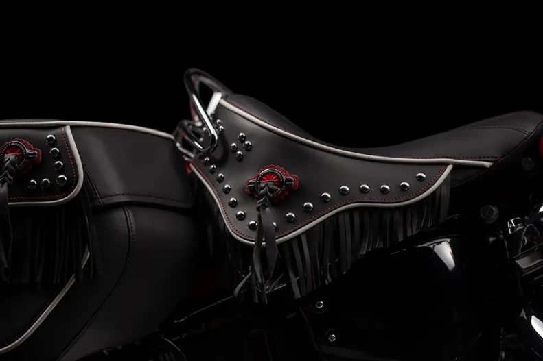 SEAT AND SADDLEBAGS